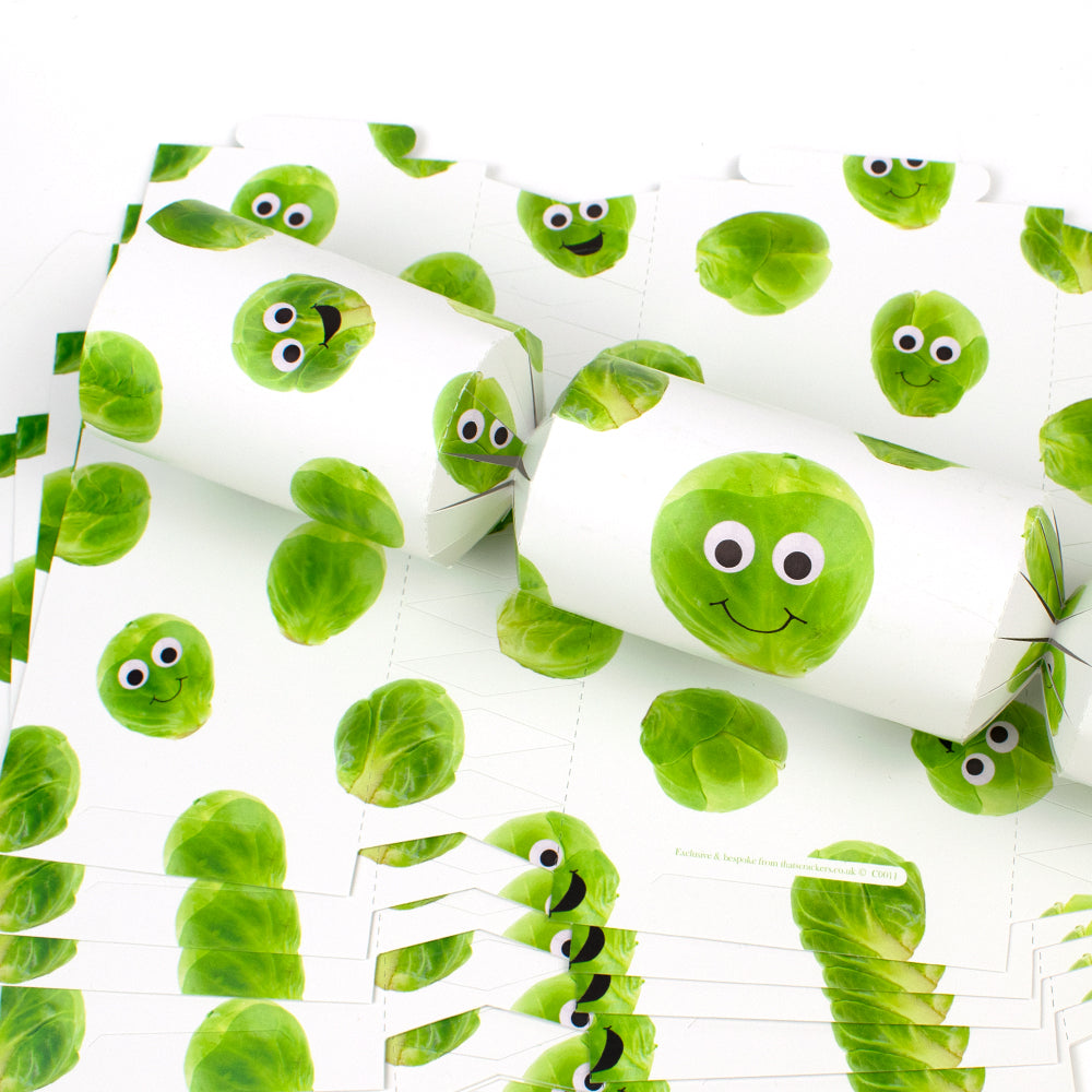 Googly Sprouts | Christmas Cracker Making Craft Kit | Make & Fill Your Own