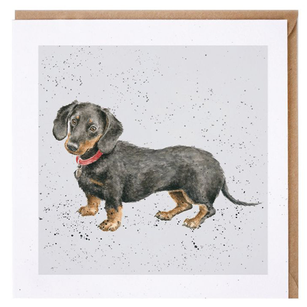 Cute Dachshund | Blank Card | 15x15cm | Wrendale Designs