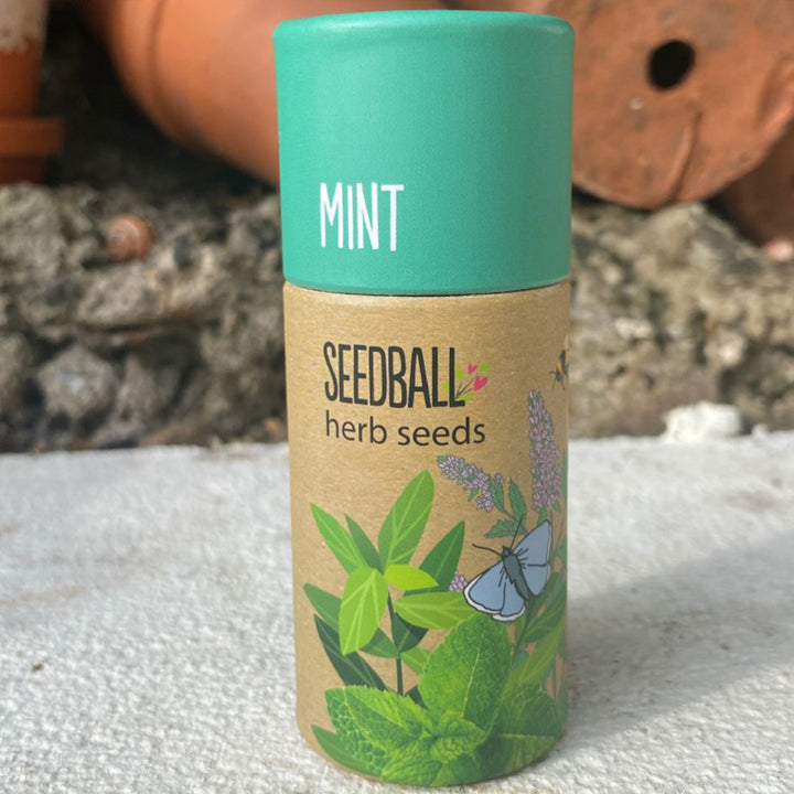 Mint | Luxury Tube of Seedballs | Cracker Filler | Mini Gift