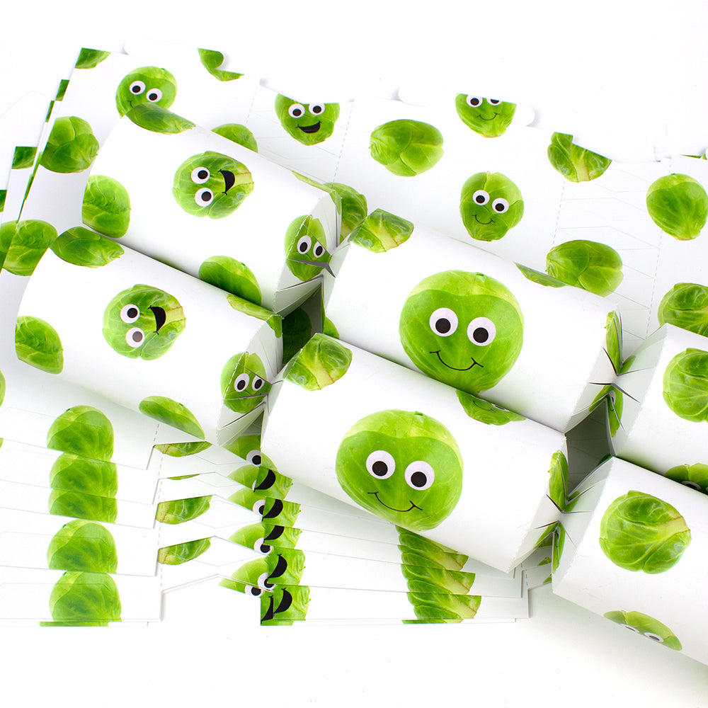 Christmas Sprout | Cracker Making Craft Kit | Make and Fill Your Own