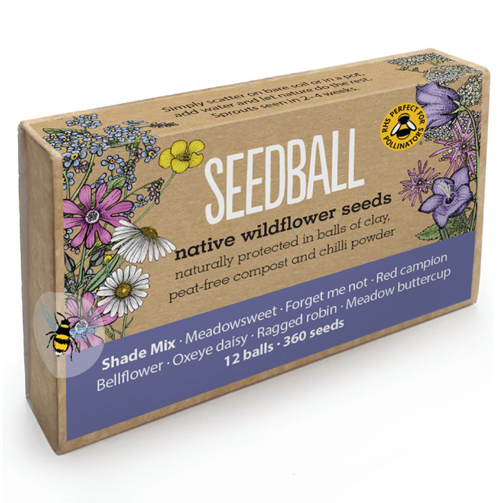 Shade Mix | 12 Native Wildflower Seedballs | Mini Gift | Cracker Filler