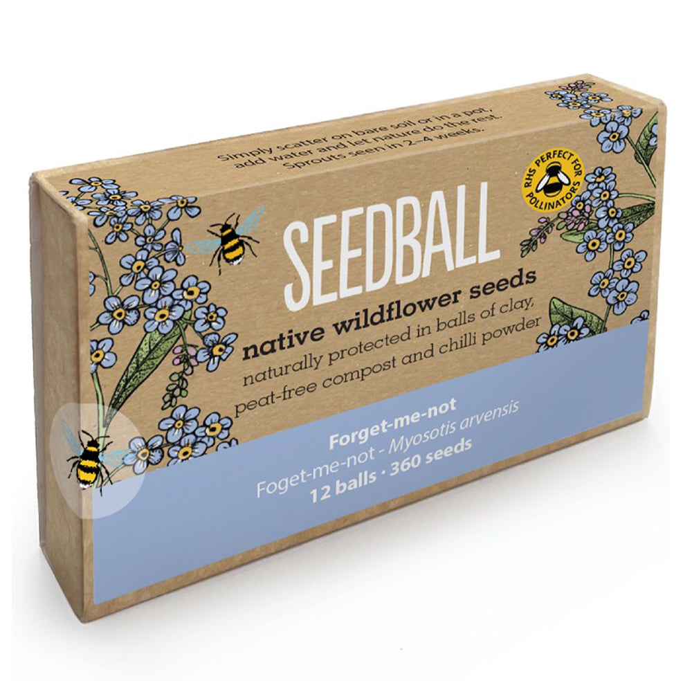 Forget-Me-Not | 12 Native Wildflower Seedballs | Mini Gift | Cracker Filler