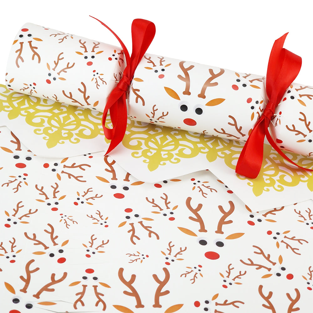 Googly Rudolph | Christmas Cracker Making Craft Kit | Make & Fill Your Own