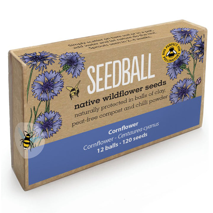 Cornflowers | 12 Native Wildflower Seedballs | Mini Gift | Cracker Filler