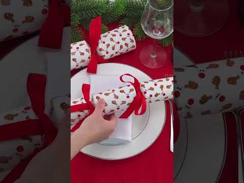 Cheeky Rudolph | Eco Christmas Cracker Making Kit | Make & Fill Your Own