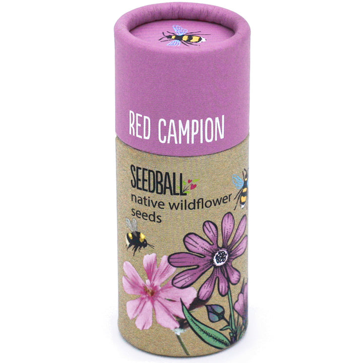 Red Campion | Luxury Tube of Seedballs | Cracker Filler | Mini Gift