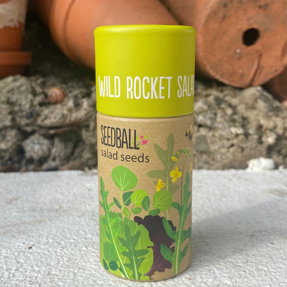 Wild Rocket | Luxury Tube of Seedballs | Cracker Filler | Mini Gift