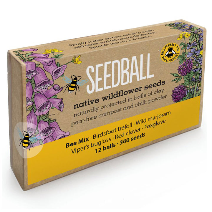 Bee Mix | 12 Native Wildflower Seedballs | Mini Gift | Cracker Filler