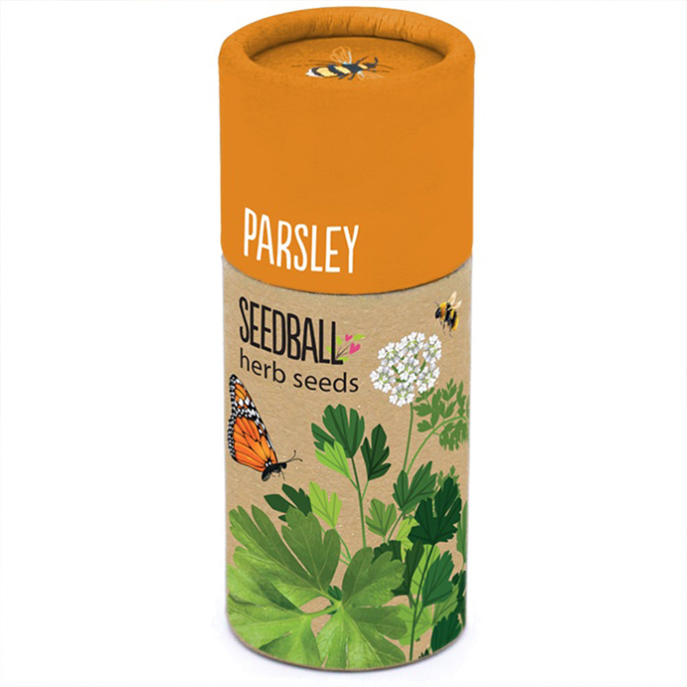 Parsley | Luxury Tube of Seedballs | Cracker Filler | Mini Gift