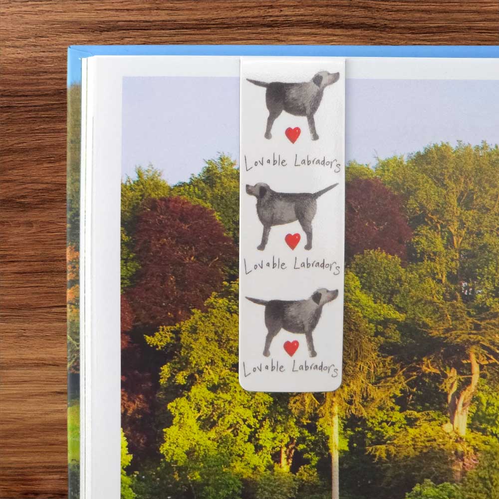 Lovable Labradors | Double Sided Magnetic Bookmark | Mini Gift | Cracker Filler