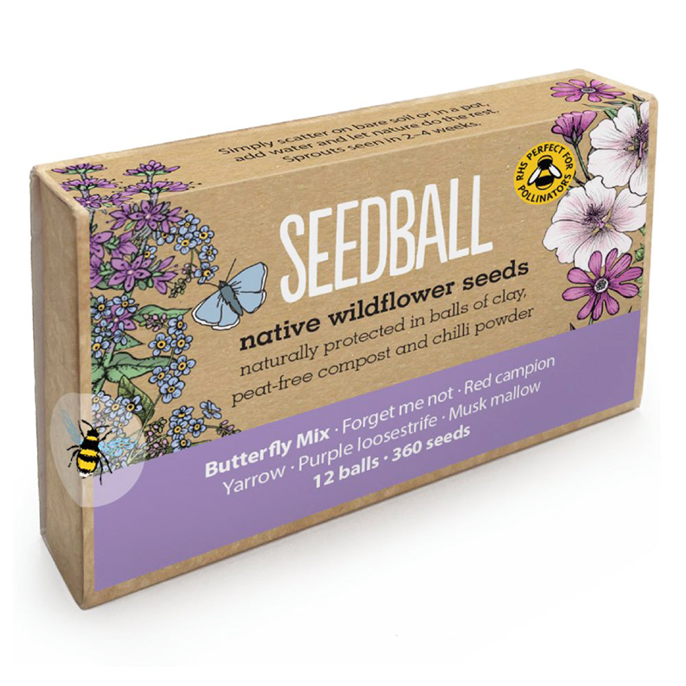 Butterfly Mix | 12 Native Wildflower Seedballs | Mini Gift | Cracker Filler